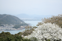 f0165225_8521923.jpg
