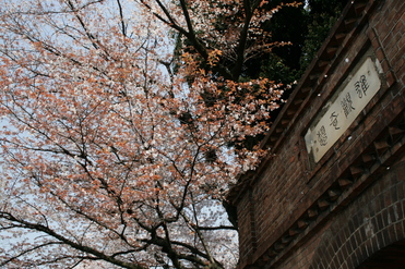 インクライン～山科～南禅寺_f0235631_22361156.jpg