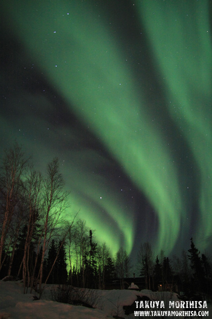 033 Aurora Village ~オーロラ撮影1夜目~_c0211532_23589100.jpg