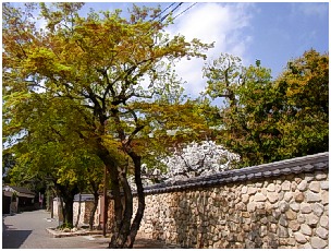 弓弦羽神社の桜と、香雪美術館_d0017632_213264.jpg