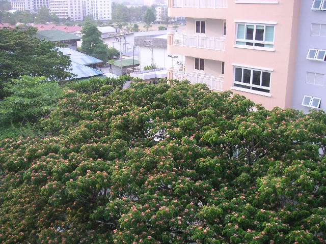c0127933_17464487.jpg