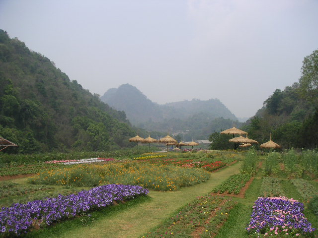 c0127933_17483358.jpg