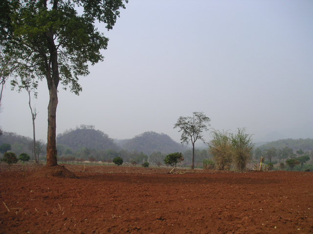 c0127933_17494838.jpg