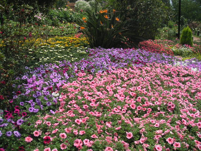 c0127933_17513842.jpg