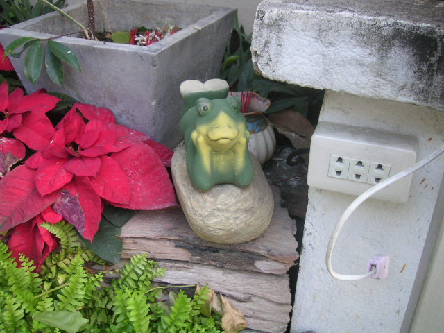c0127933_17521397.jpg