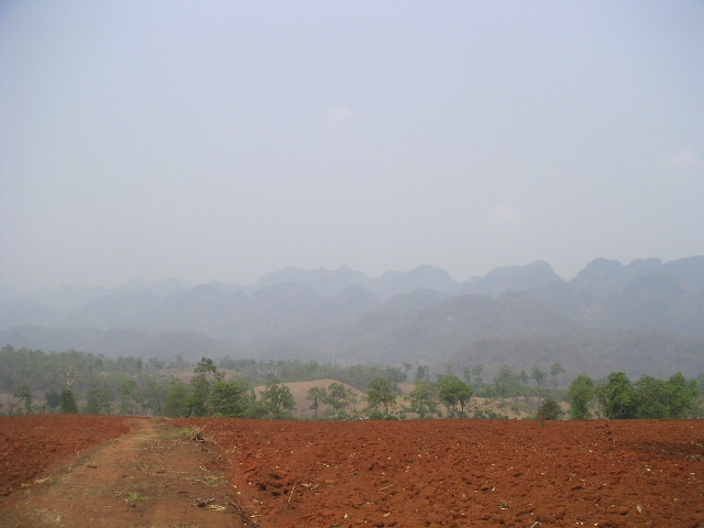 c0127933_17574299.jpg