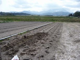 f0194533_14372944.jpg