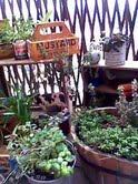 c0173135_133177.jpg