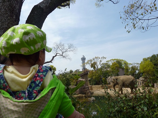 初動物園_a0159139_1112511.jpg