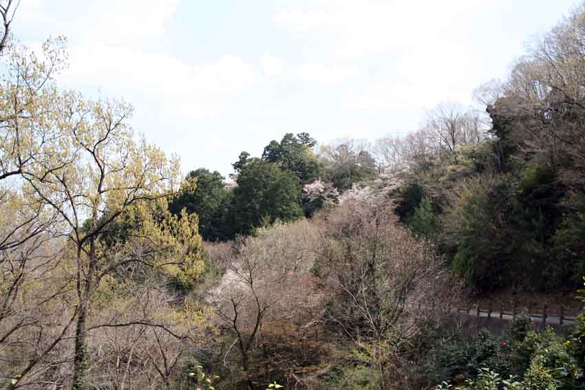 天石門別八倉比売神社♪_d0058941_21144368.jpg