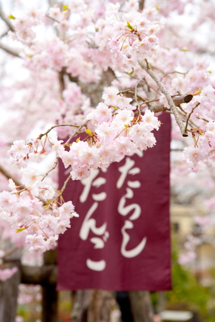 京都　円山公園～南禅寺_e0157642_20435028.jpg