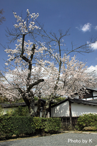 c0127748_029216.jpg