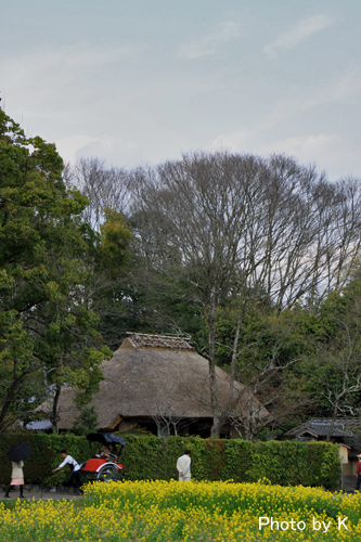 c0127748_031145.jpg