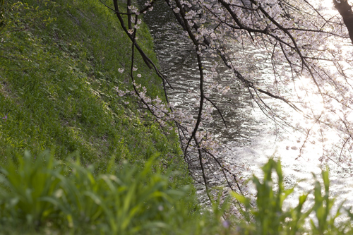c0092152_0214151.jpg