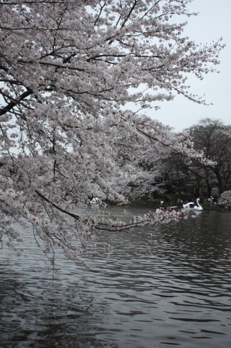 c0118352_2312470.jpg