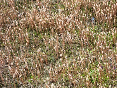 c0190960_9333323.jpg
