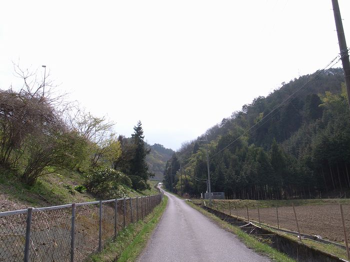 e0053660_19273498.jpg