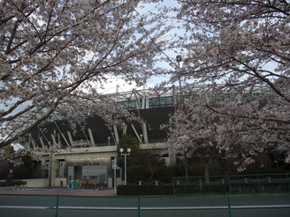 新宿区に5組に1組が国際結婚?!_b0183063_22284692.jpg