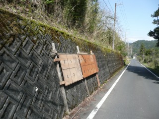f0055264_11228.jpg