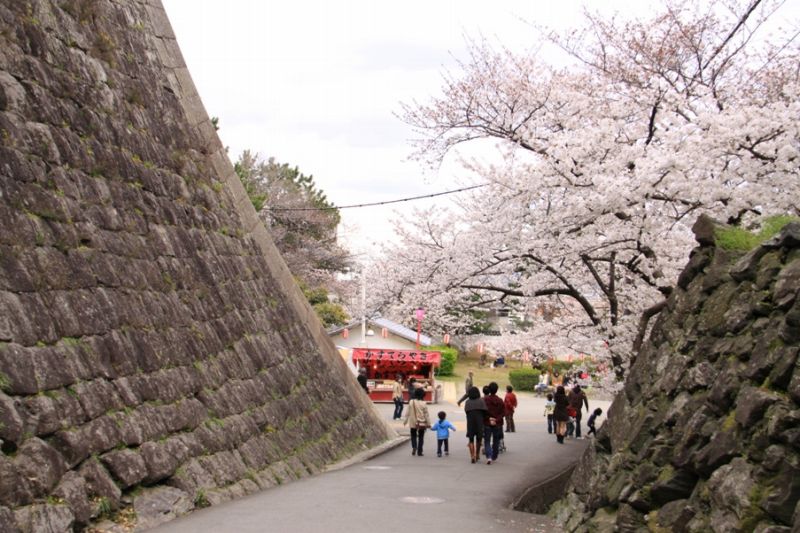 2010-03 桜・紀州路_c0185066_0215989.jpg