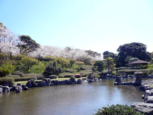 桜 ~ニーチェ~_e0152373_19473912.jpg