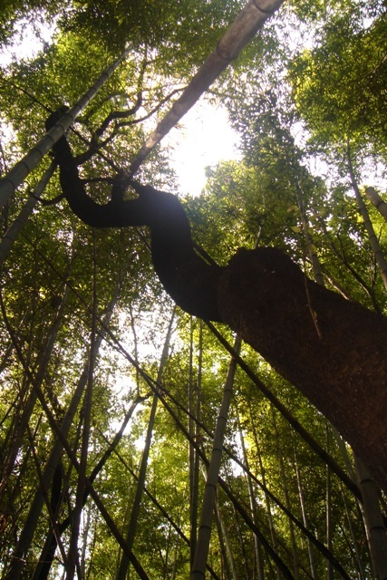 c0135480_22145897.jpg