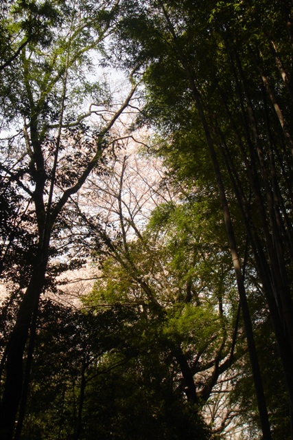 c0135480_2254851.jpg