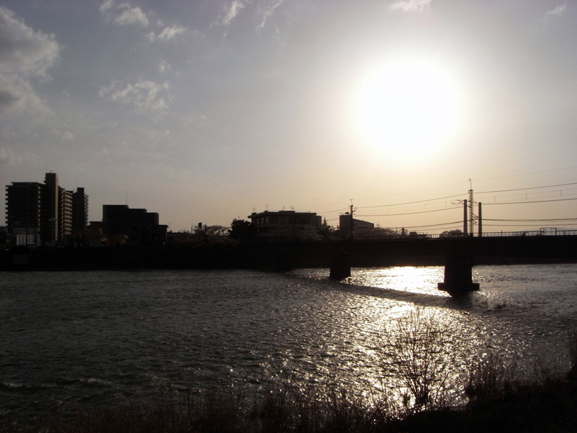 桜(その14)　宇治駅の桜_f0221280_12471547.jpg