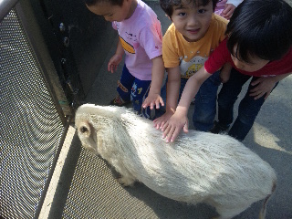 動物公園_b0094681_225222.jpg