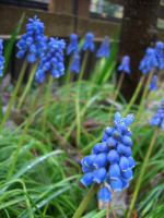 a0152183_9483310.jpg