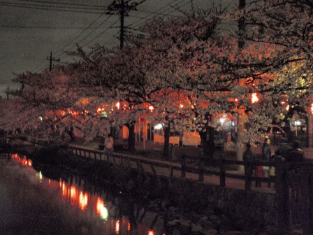 夜桜です。_b0082484_23522386.jpg