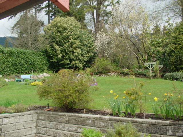 f0129786_47115.jpg