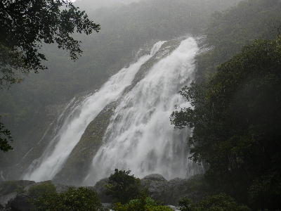 c0171889_2026337.jpg