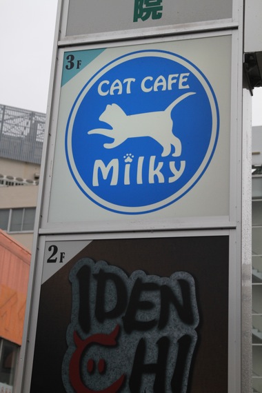 本厚木 Cat Cafe Milky 1st 猫山細道の猫カフェ写真館