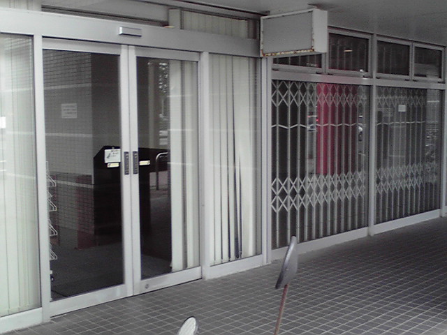 白井さんは生きていたw_e0046190_1647925.jpg