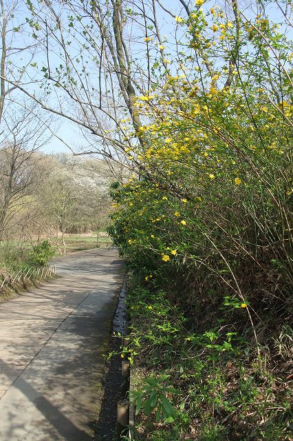 e0070891_18305431.jpg