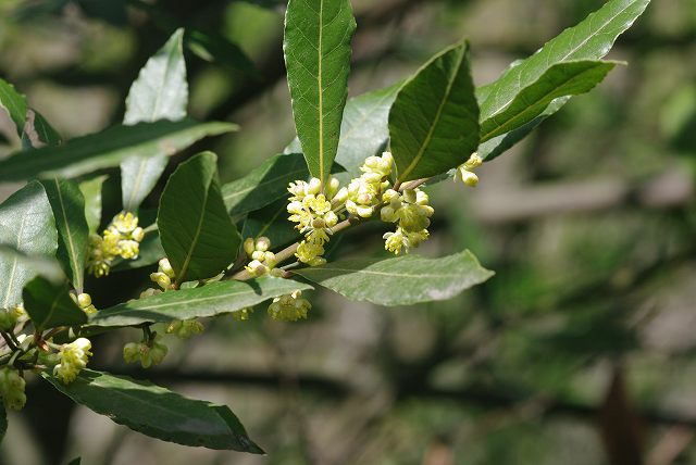 e0070891_18335966.jpg