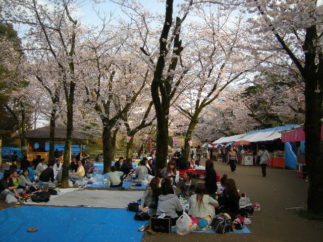 b0122893_49346.jpg