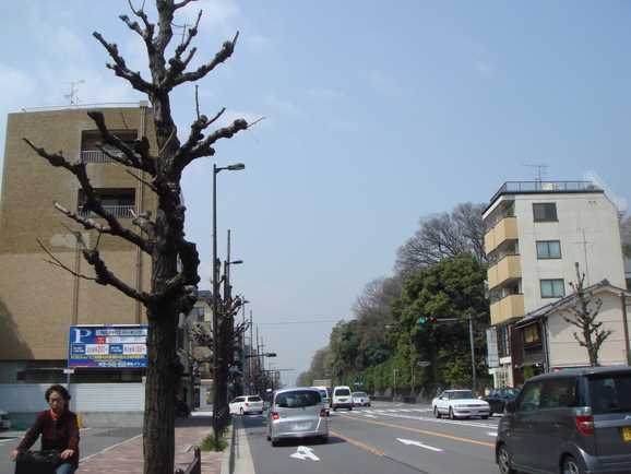 e0111793_1720041.jpg