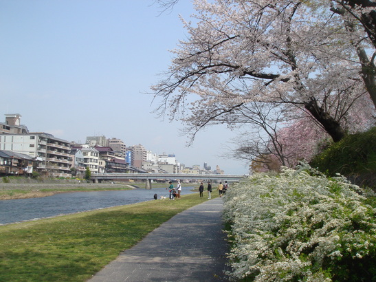 e0111793_1725282.jpg