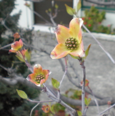 f0166694_1917551.jpg