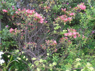f0166694_19191860.jpg