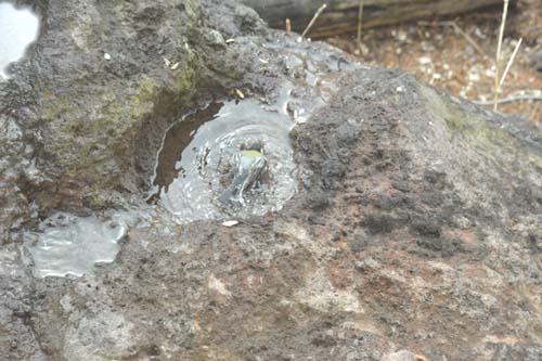 e0120896_20512547.jpg
