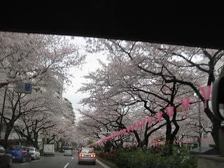 e0147297_0195619.jpg