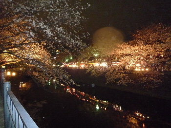f0230197_1318101.jpg