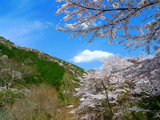 c0212298_185194.jpg