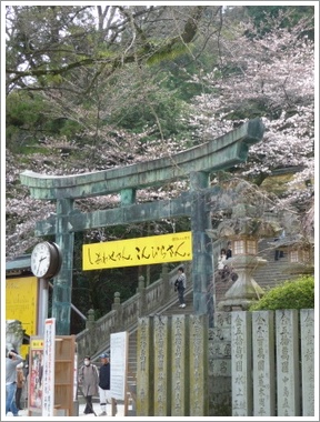 香川・こんぴらさん_a0135999_0343994.jpg
