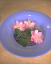 c0164401_2404344.jpg