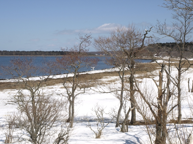 f0020302_21565884.jpg