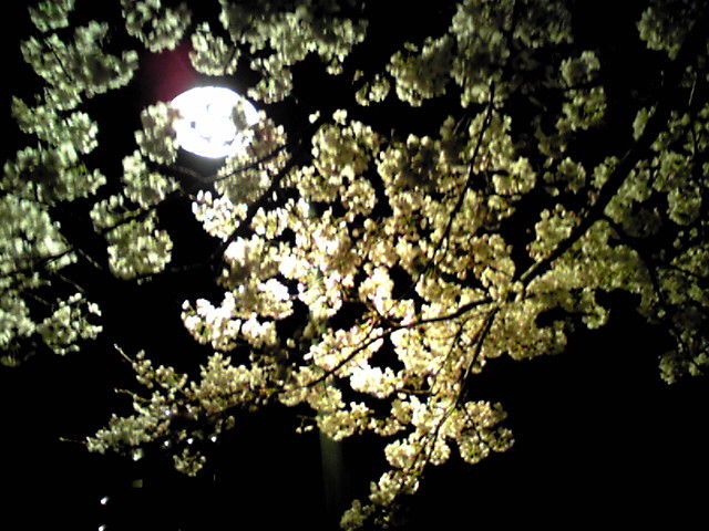 f0079202_23345399.jpg